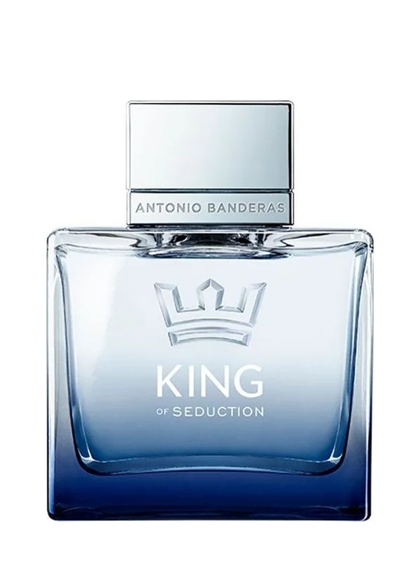 Antonio Banderas King Of Seduction