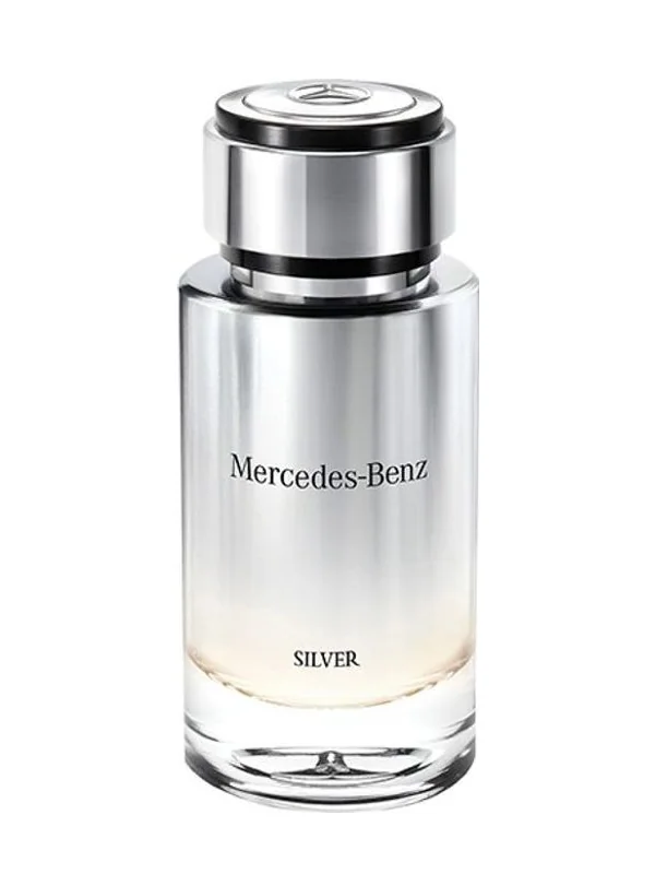 Mercedes-Benz Mercedes-Benz Silver