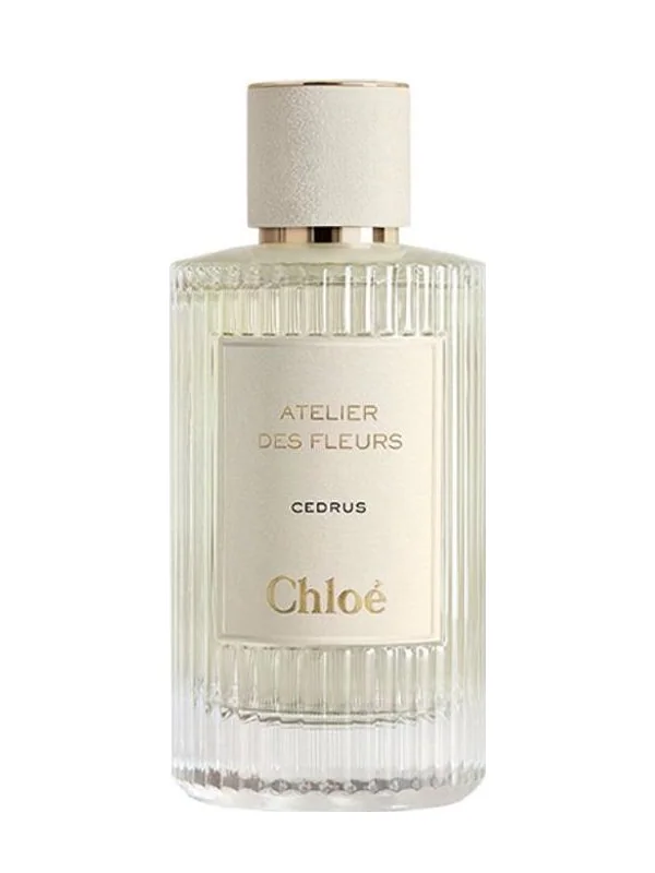 Chloé Cedrus
